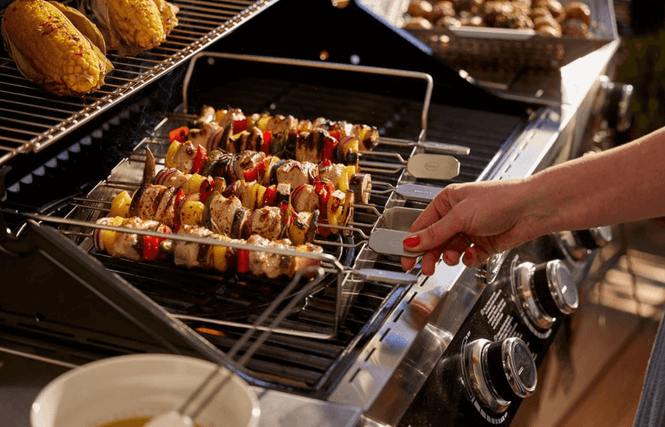 Hovedbilde Rösle Grillspyd med stativ Stål