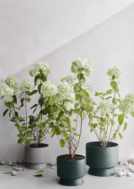 Hovedbilde Rosendahl RO Blomsterpotte Resirkulert Grønn Ø24 ...