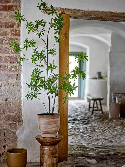 Hovedbilde Bloomingville Palmatum Kunstig Plante Grønn