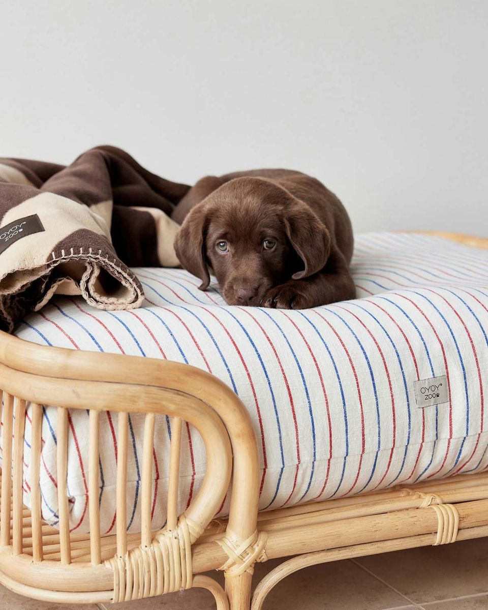 OYOY Otto Hundeseng L52 cm Natur