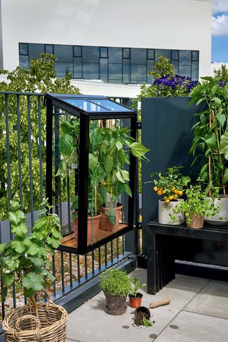 Hovedbilde Juliana Urban Balcony Drivhus Herdet Glass Sort ...