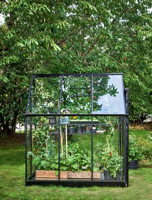 Hovedbilde Halls Drivhus Qube 6 Herdet Glass Sort 3,6 m²
