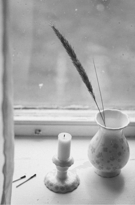 Hovedbilde Wik & Walsøe Slåpeblom Vase grønn