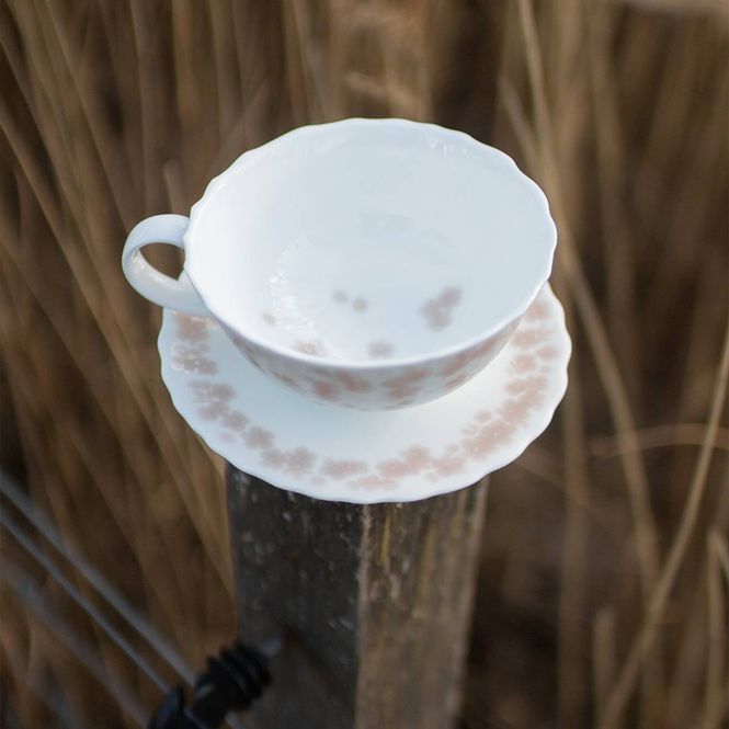 Hovedbilde Wik & Walsøe Slåpeblom Tekopp & skål Rosa 30 cl